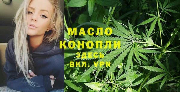 эйфоретик Ельня