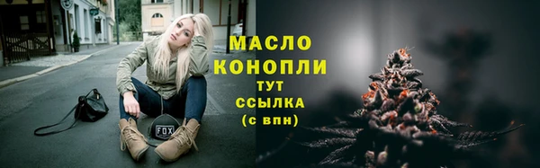 эйфоретик Ельня