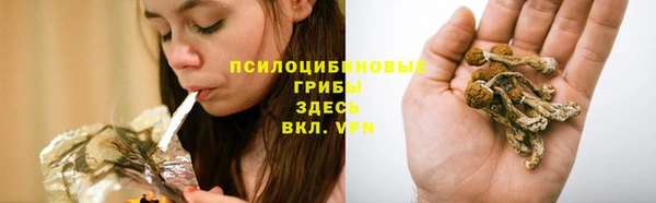 каннабис Дмитров