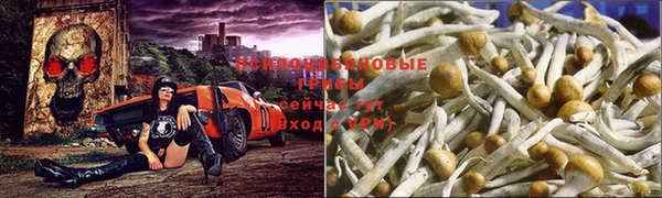 мяу мяу мука Дмитровск