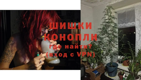 эйфоретик Ельня