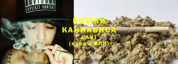 эйфоретик Ельня