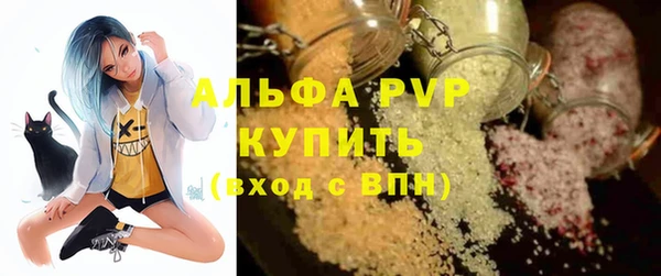 эйфоретик Ельня