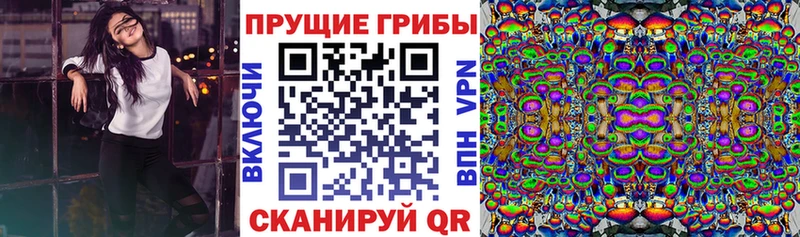 Купить закладки  Пошехонье  Галлюциногенные грибы Psilocybine cubensis 